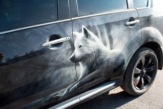 Вовки на Mitsubishi OUTLANDER
