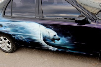 Білий ведмідь на Geely