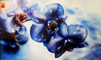 Блакині квіти